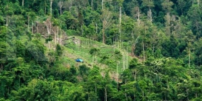 IMG-20210705-WA0004
